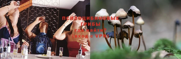 ГАЛЛЮЦИНОГЕННЫЕ ГРИБЫ Беломорск