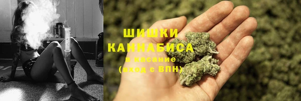 эйфоретик Белокуриха