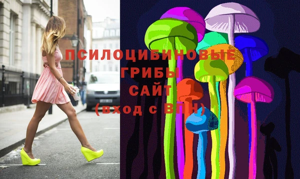 ГАЛЛЮЦИНОГЕННЫЕ ГРИБЫ Беломорск