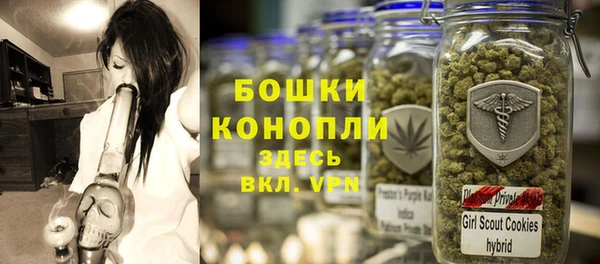 ГАЛЛЮЦИНОГЕННЫЕ ГРИБЫ Беломорск