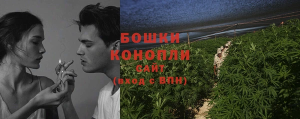 ГАЛЛЮЦИНОГЕННЫЕ ГРИБЫ Беломорск
