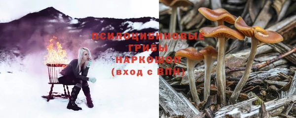гидра Белоозёрский