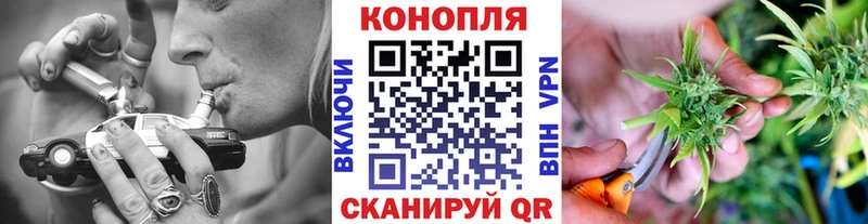 Каннабис конопля  Горно-Алтайск 